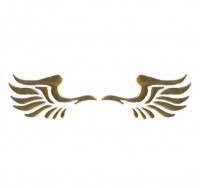3D Phoenix's Wings