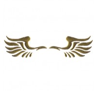3D Phoenix's Wings