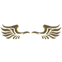 3D Phoenix's Wings