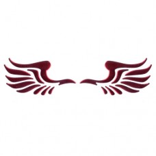 3D Phoenix's Wings